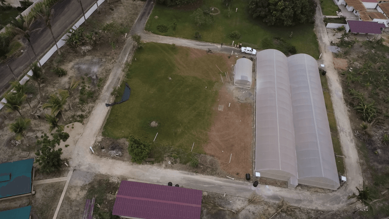 Aboisso — 1,000 m² greenhouse and nursery greenhouse