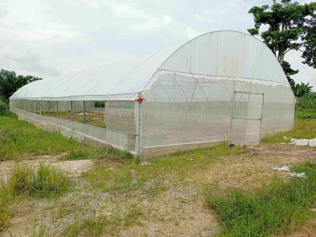 Alépé — 300 m² greenhouse