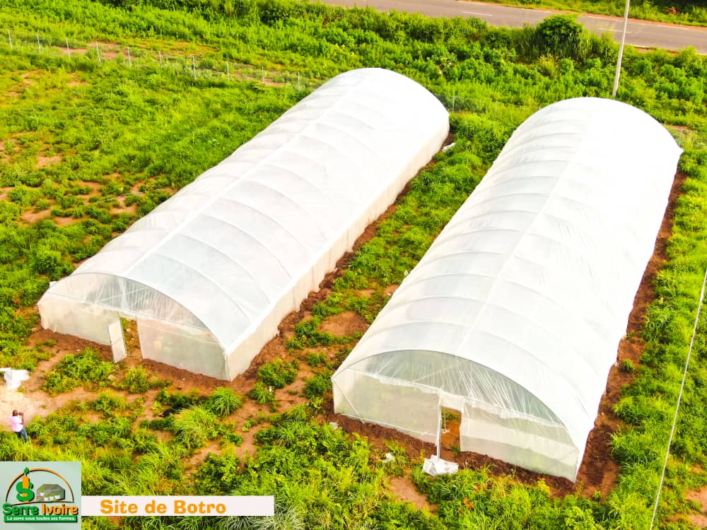 Botro — two 300 m² greenhouses