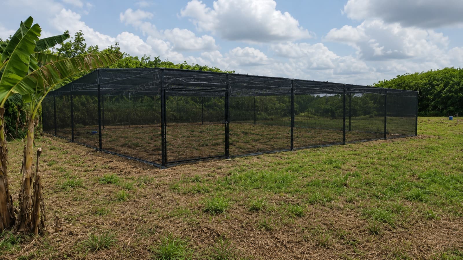 Divo — 500 m² shade structure
