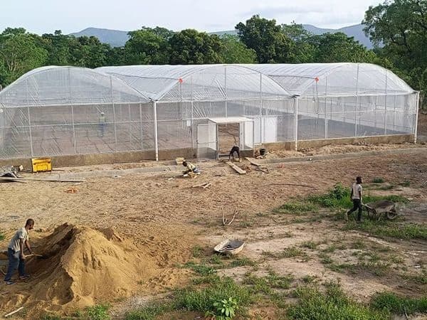 Guinea — two 1,250 m² multi-span greenhouses