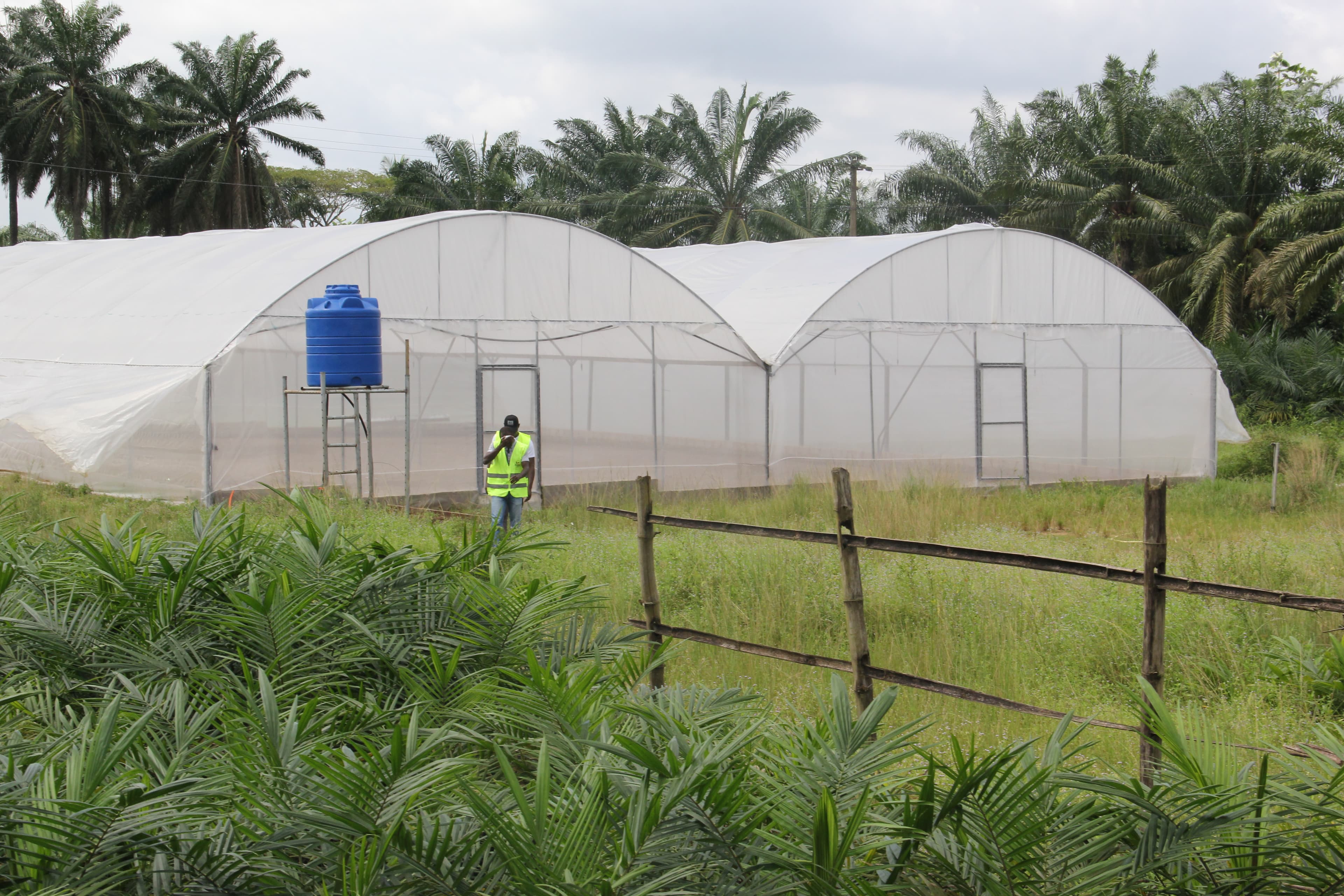 Multi-span greenhouse 1,000 m²
