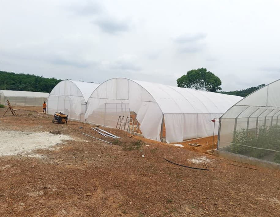 Yakassémé — two 500 m² greenhouses and a nursery