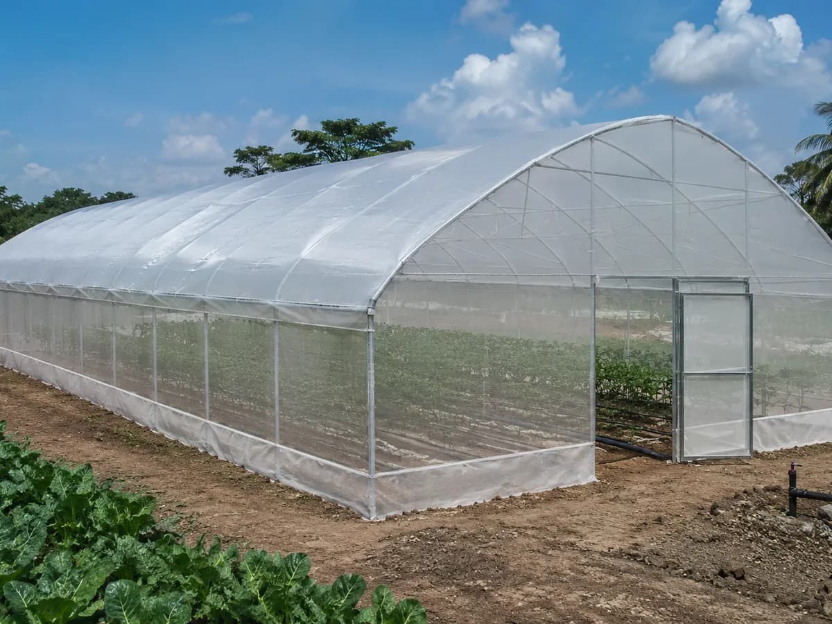 Tunnel greenhouse 250 m²