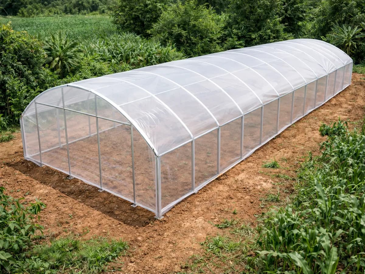 Tunnel greenhouse 500 m²